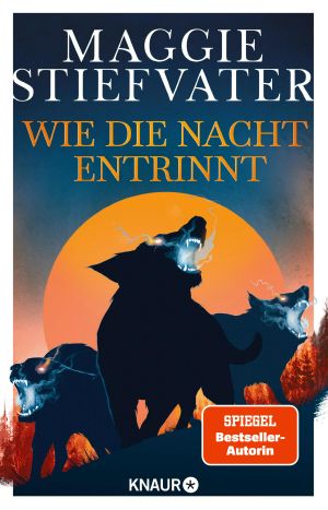 [Dreamer Trilogy 03] • Wie die Nacht entrinnt
